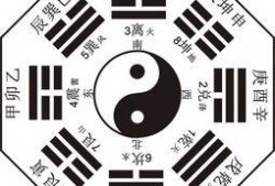 八卦爆料集合视频大全,视频大全揭秘娱乐圈幕后风云