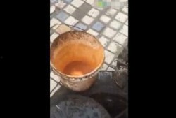 地沟油视频爆料,视频爆料背后的食品安全危机