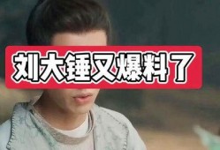 刘大锤爆料完整视频播放,独家爆料背后的真相与细节