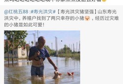 如何看待娱乐圈爆料的现象,娱乐圈爆料现象的利弊解析