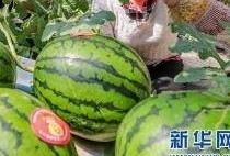 潮州网红吃瓜事件最新消息