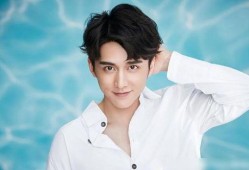 张新成娱乐爆料,揭秘明星幕后故事